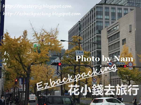 12月上旬大阪奈良紅葉報