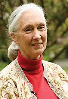 Breve Biografía de Jane Goodall. Mujeres que hacen la historia. Biografia de Jane Goodal