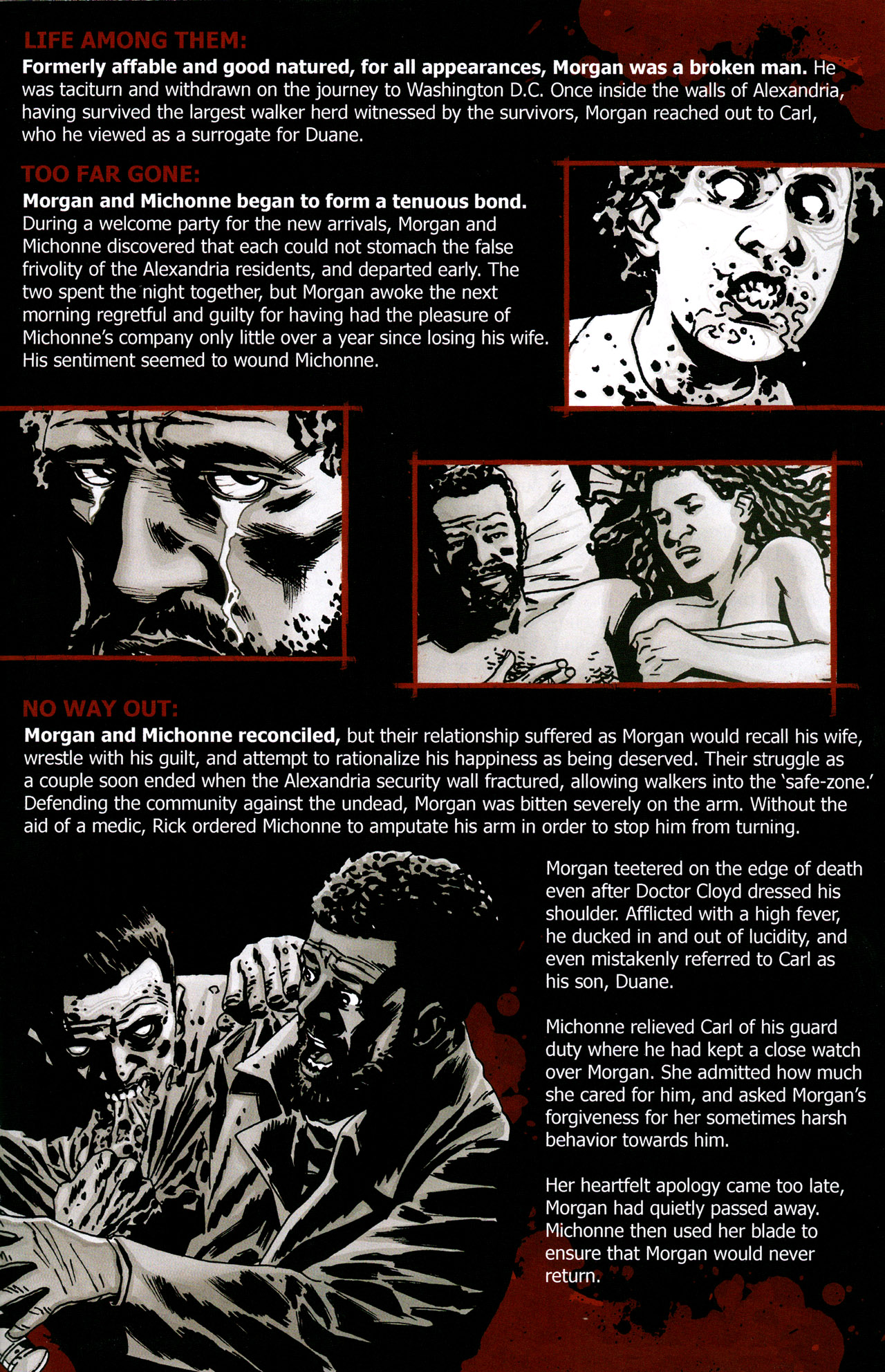 Read online The Walking Dead Survivors' Guide comic -  Issue #3 - 23