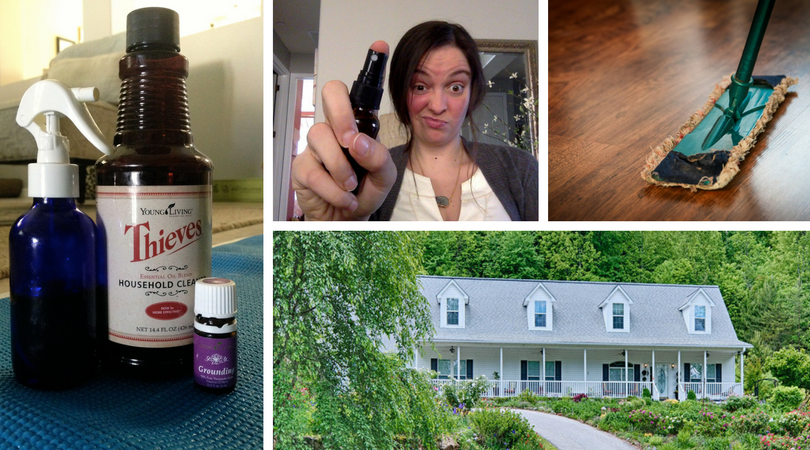 How To Detox Your Home In 90 Days Using Thieves Overthrow Martha