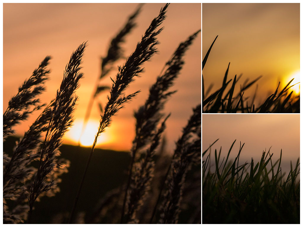 Cz De Prag Cux Whv 15 Tage Elberadweg Und Mehr Archiv Outdoorseiten Net
