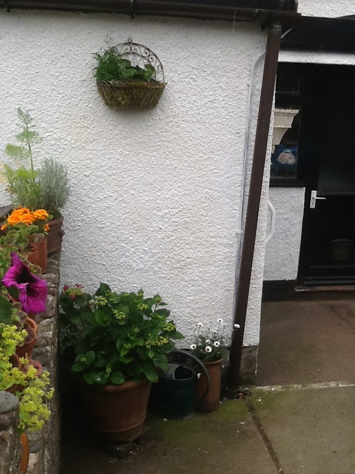 Going Gently Pebbledash