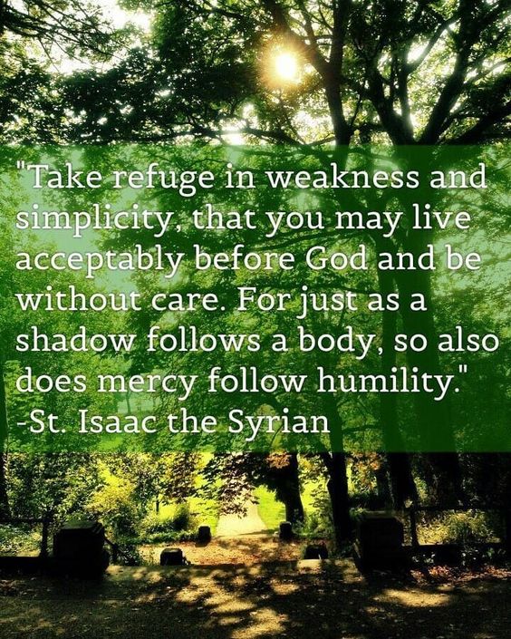 Verse of the Day November 10, 2018