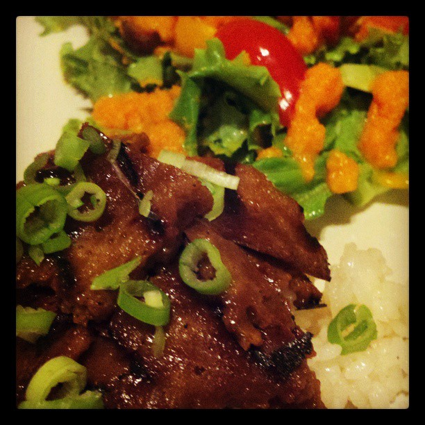 Piece o' Cake Making Old Favorites Minus the Milk, Eggs or Meat