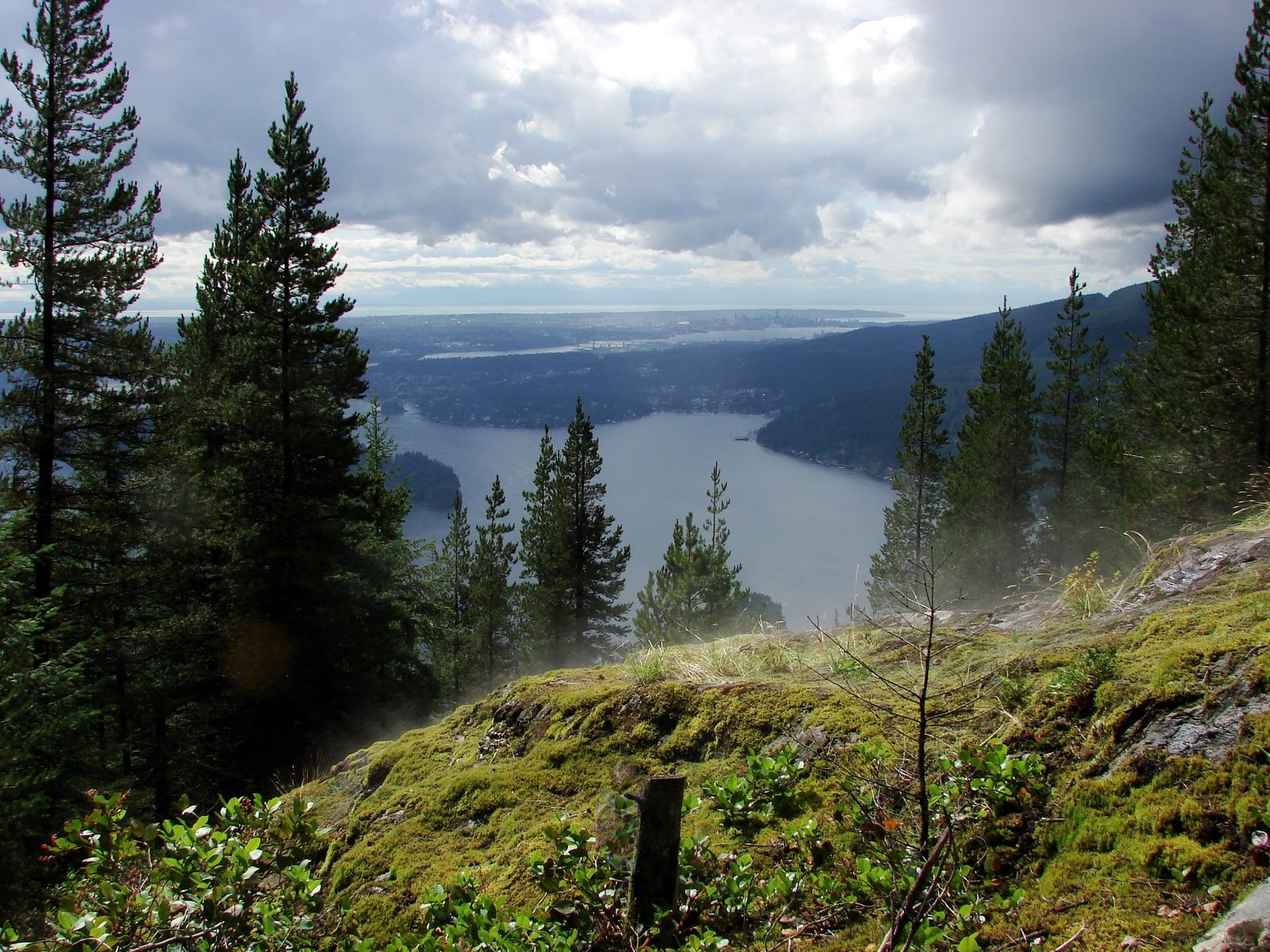 League of Legends Pro Builds: League of Legends Wallpaper