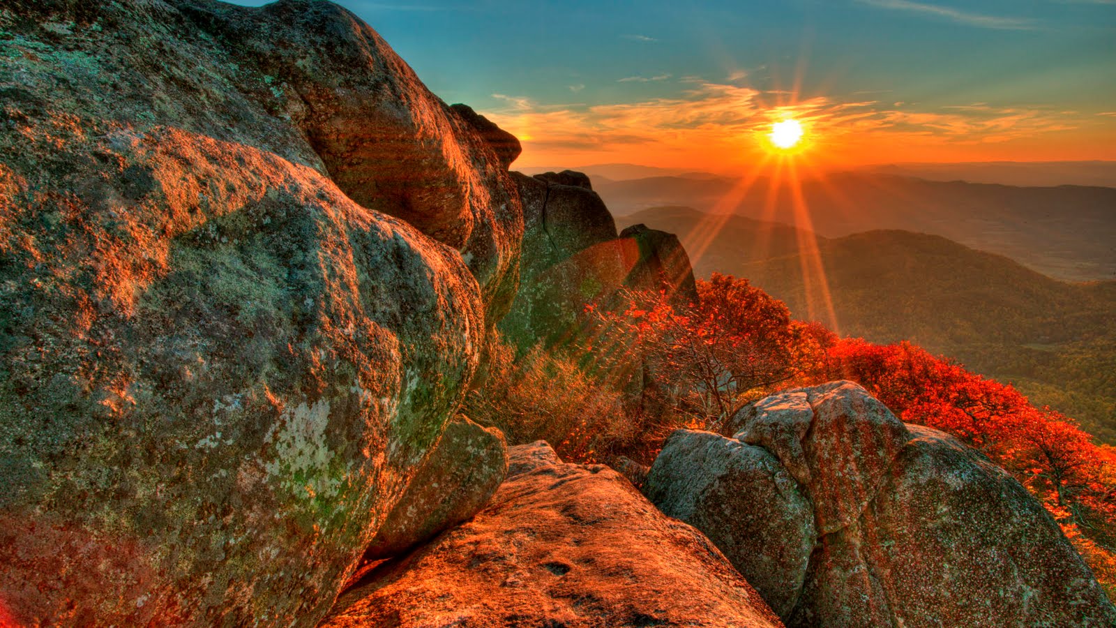 How to stop vomiting after drinking water Show the beautiful images of love and nature hd wallpapers