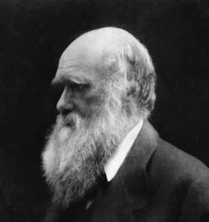 Charles Darwin portrait