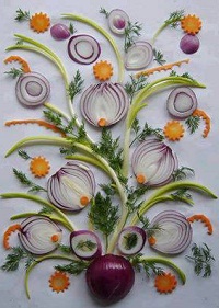 Onion or Allium cepa