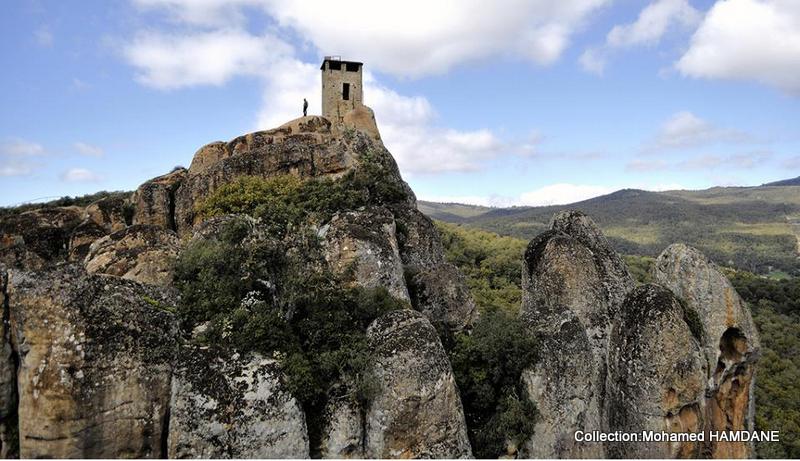 CULTURE et PATRIMOINE DE TUNISIE EN IMAGES MOHAMED HAMDANEثقافة وتراث