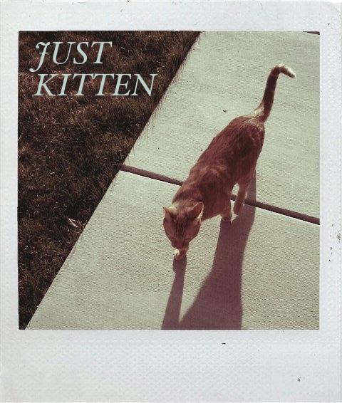 Just Kitten