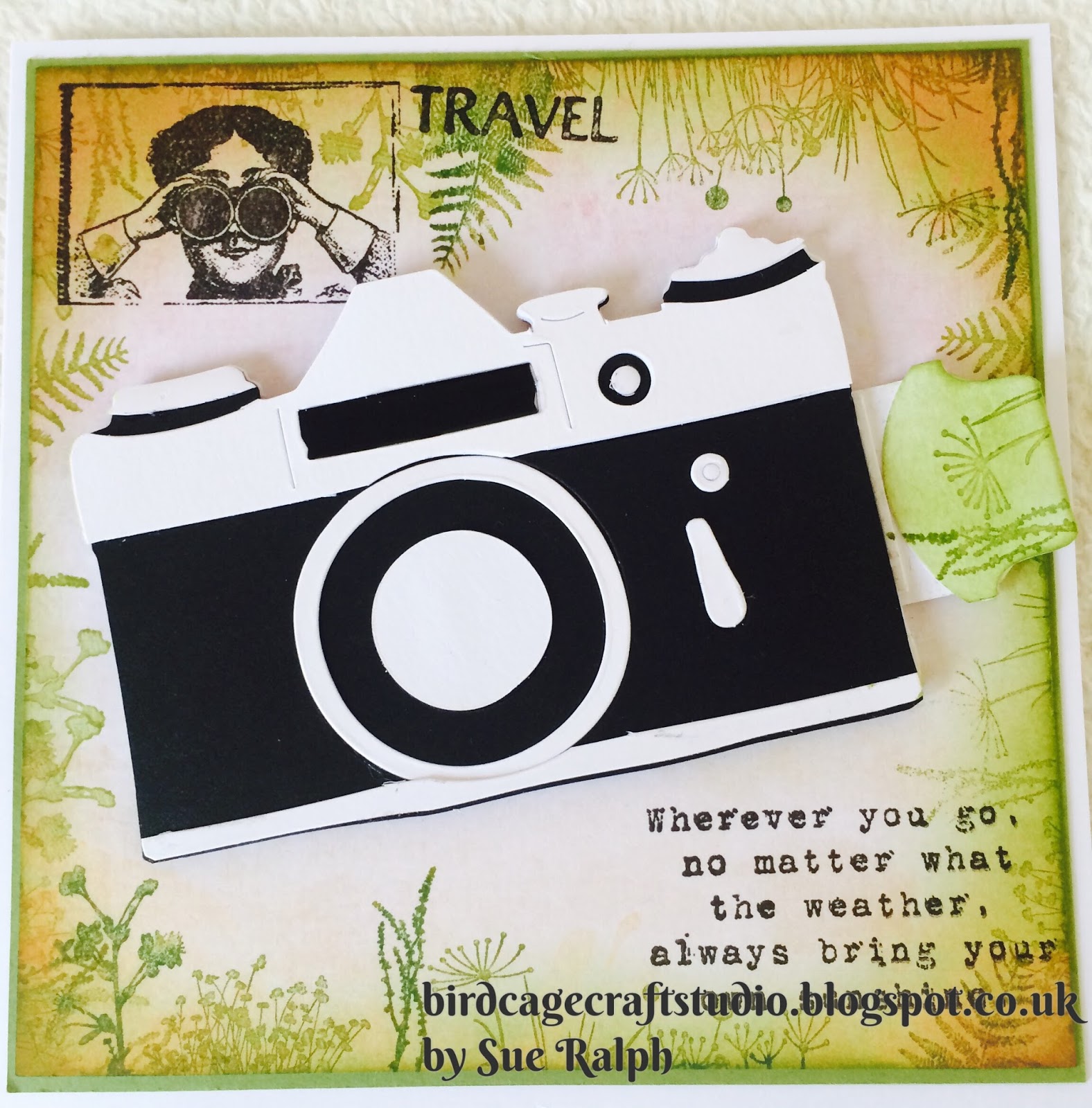 Birdcage Craft Studio: Sliding Camera Card Tutorial