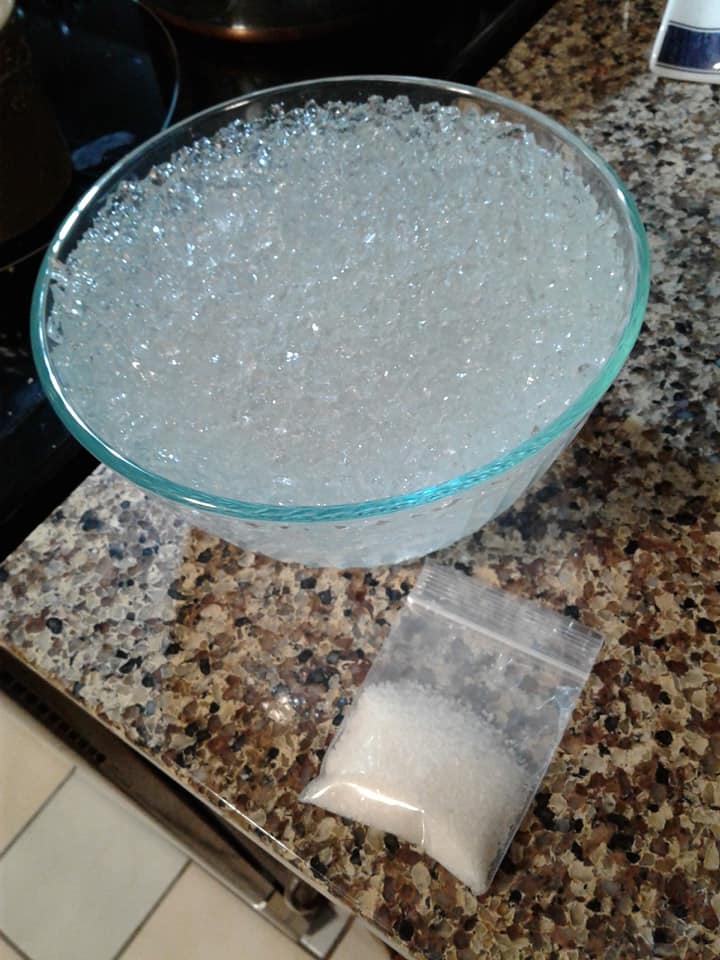 ChickaDoodles or J&D Farm Dubia Roach Farm