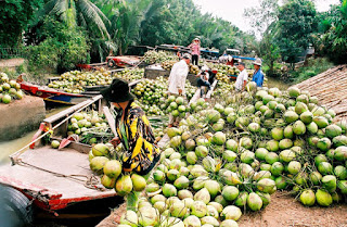 Du lich Bến Tre - Du lịch miệt vườn Lang Vương 1 ngày