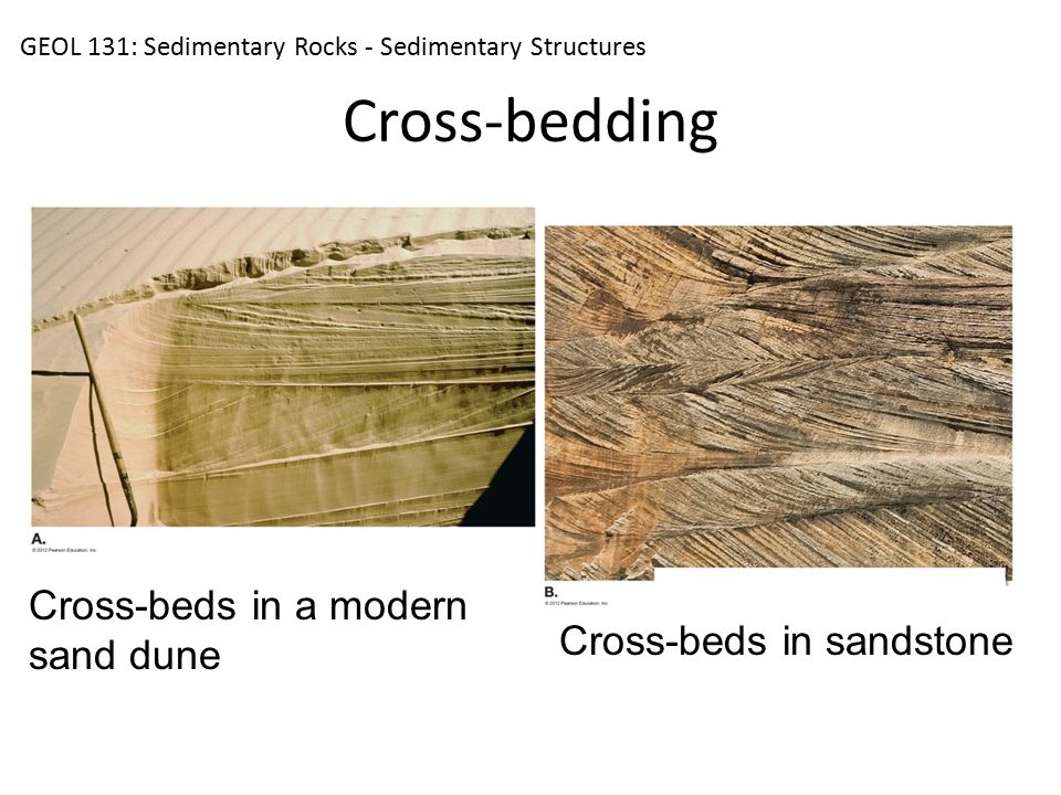 SoftwarePhysics The Bootstrapping Algorithm of CarbonBased Life