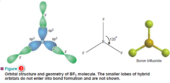 Hybridization and Shapes of Molecules