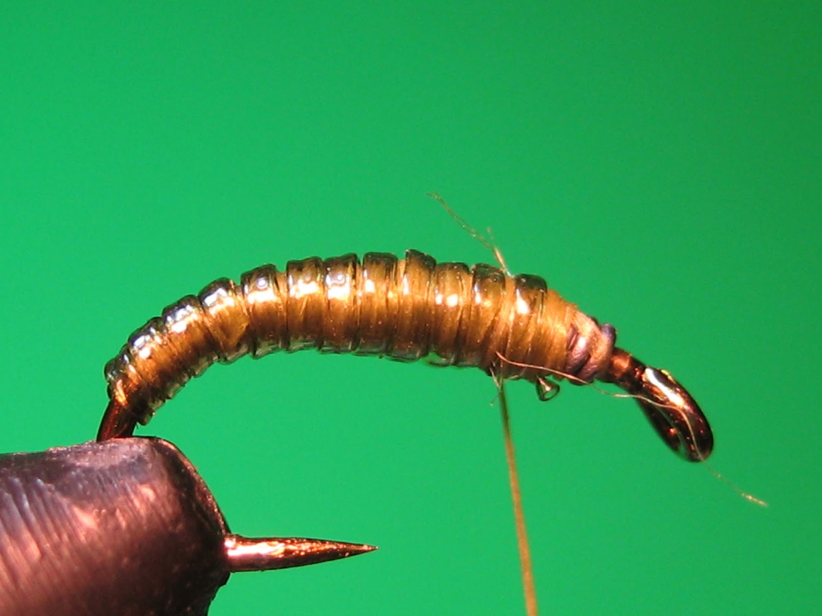 My Trout Fly Caddis larva