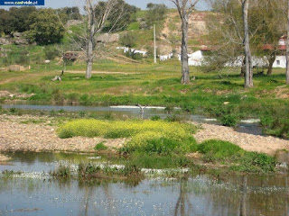 Rio Caia (Baldio), Zonas de Pesca de Castelo de Vide / Portalegre (Alto Alentejo), Portugal (Fish / Pesca)