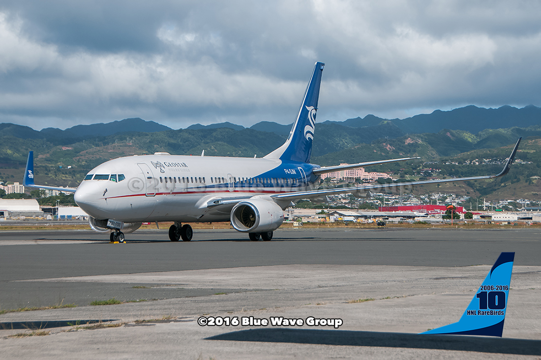 HNL RareBirds™: P4-SJM