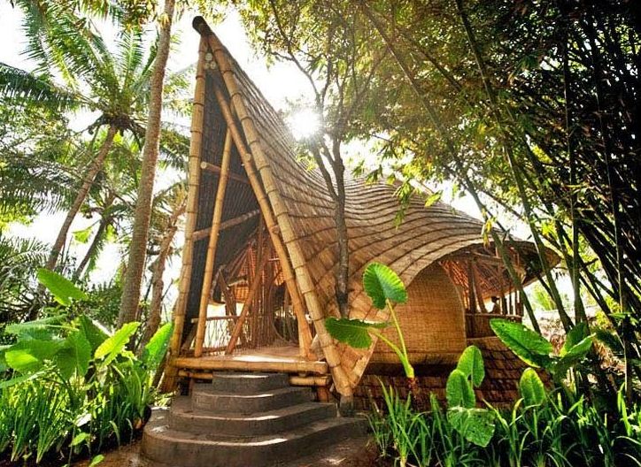 BEAUTIFUL BAMBOO HOUSE DESIGN BUILDING