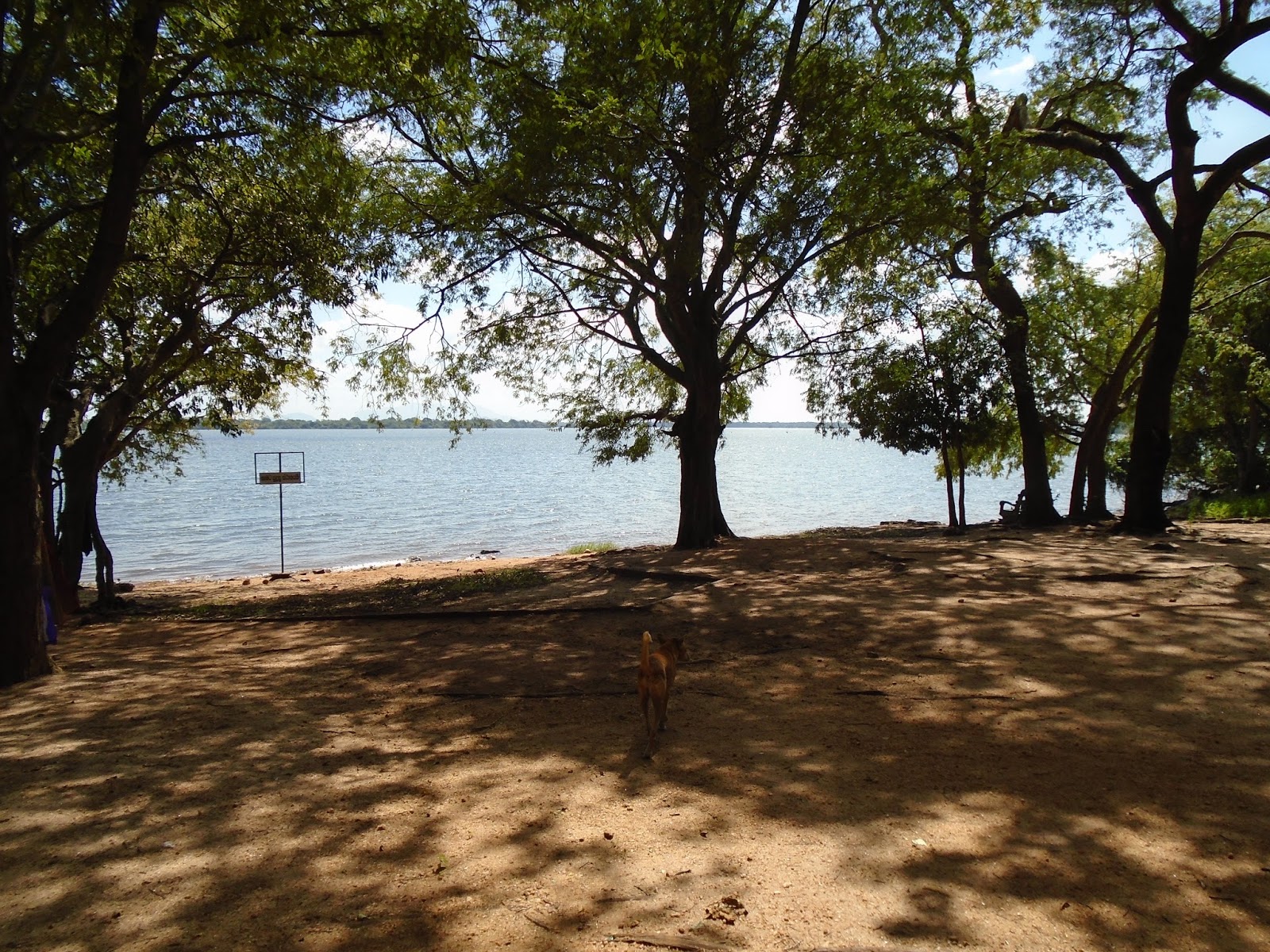 DSC00244.JPG