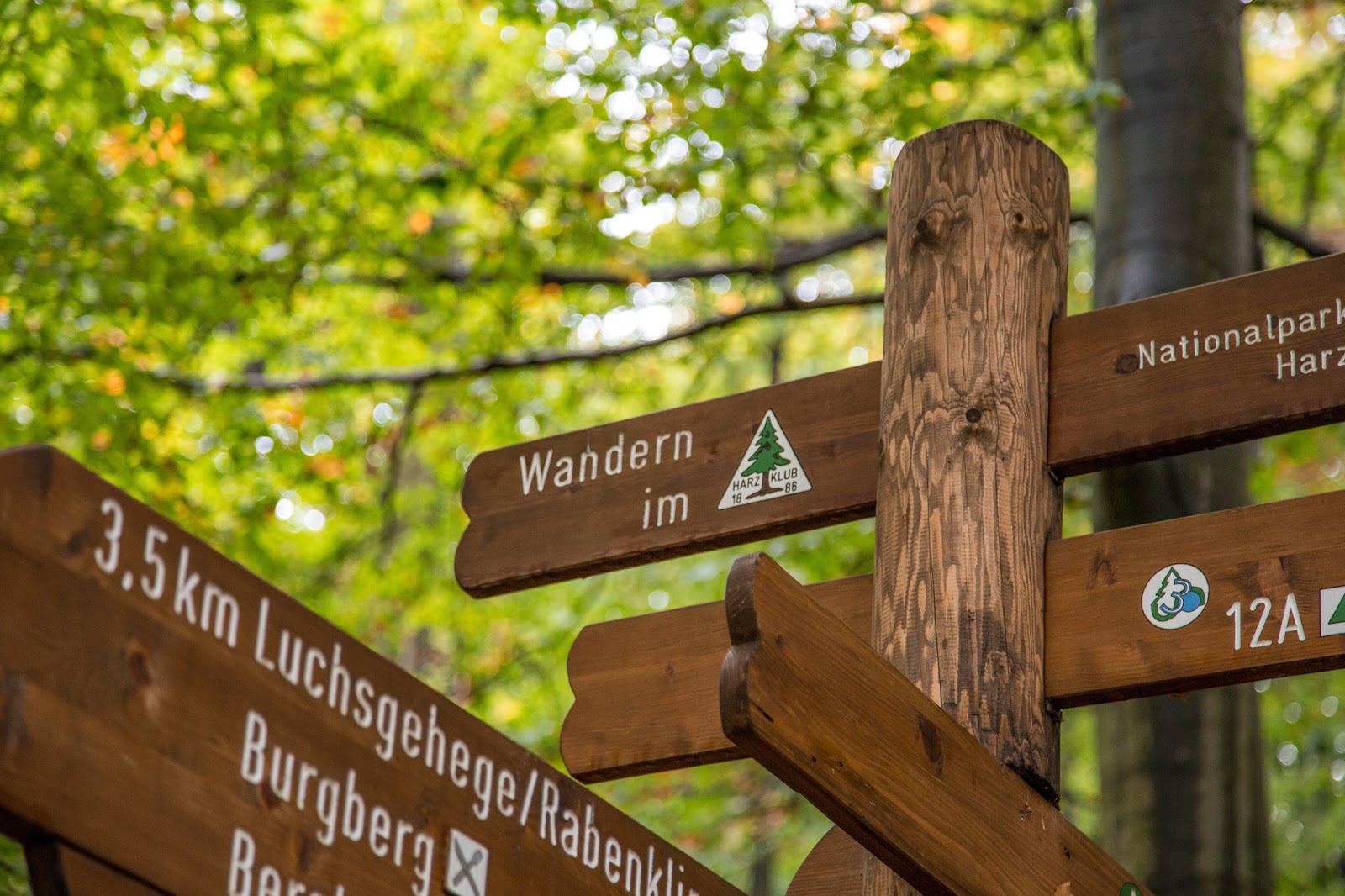 The Lost Fort Summer In The Harz With Castles