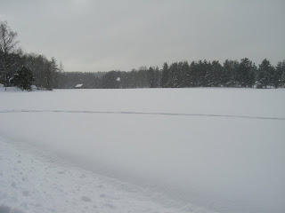 Promenad%2Btill%2Bsj%25C3%25B6n%2B%25289%2529 - Långpromenad till sjön