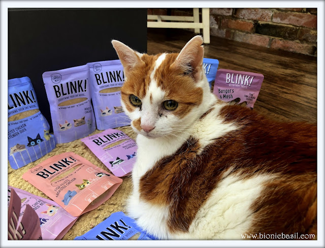 Blink Cat Food Review @BionicBasil® Amber 2