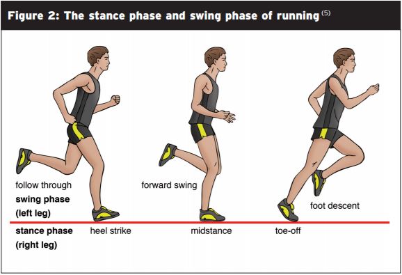 Improper Running Biomechanics Leading to Hip Injuries