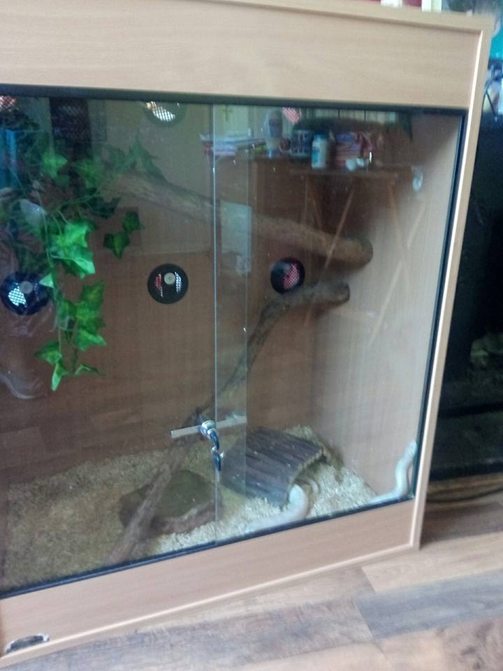 Pip Harris Ba Hons Computer Animation Arts Uca Rochester