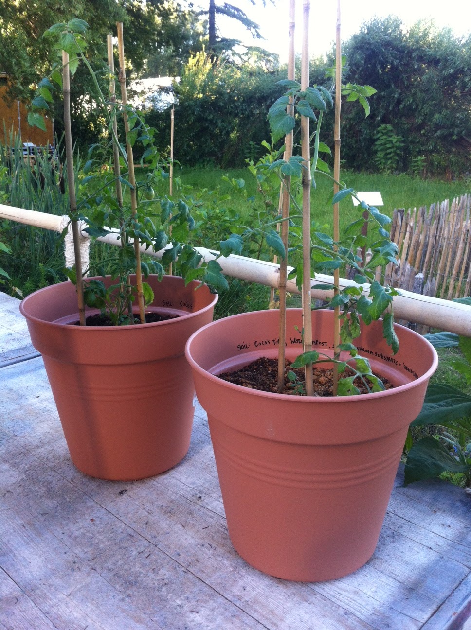 Le Compostier Make your own potting soil by using your kitchen waste