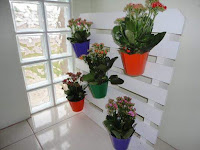 Pallets de madera reutilizados para colocar plantas Pallets de madera reutilizados para colocar plantas