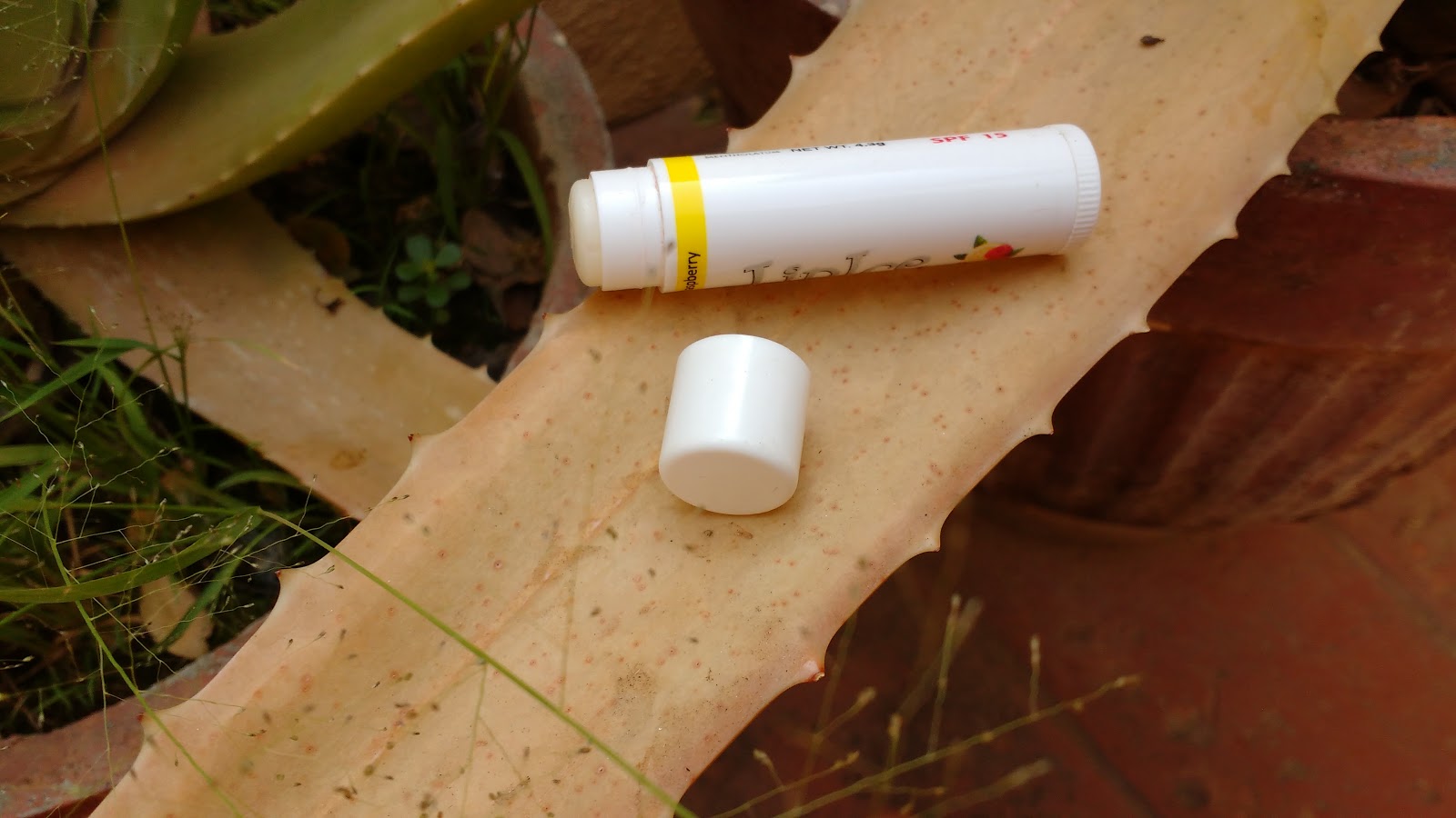 LipIce Lemon Raspberry Lip Balm Review Favourite winter Lip Balm