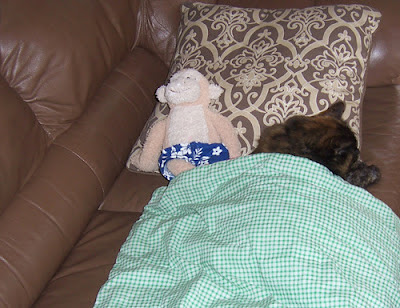 Lisa's brown leather couch with her cat laying next to a stuffed animal-monkey, covered with a baby blanket that is green-checkered.