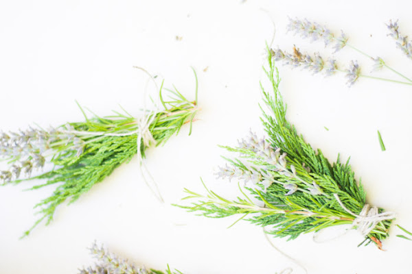 Ramilletes plantas diy