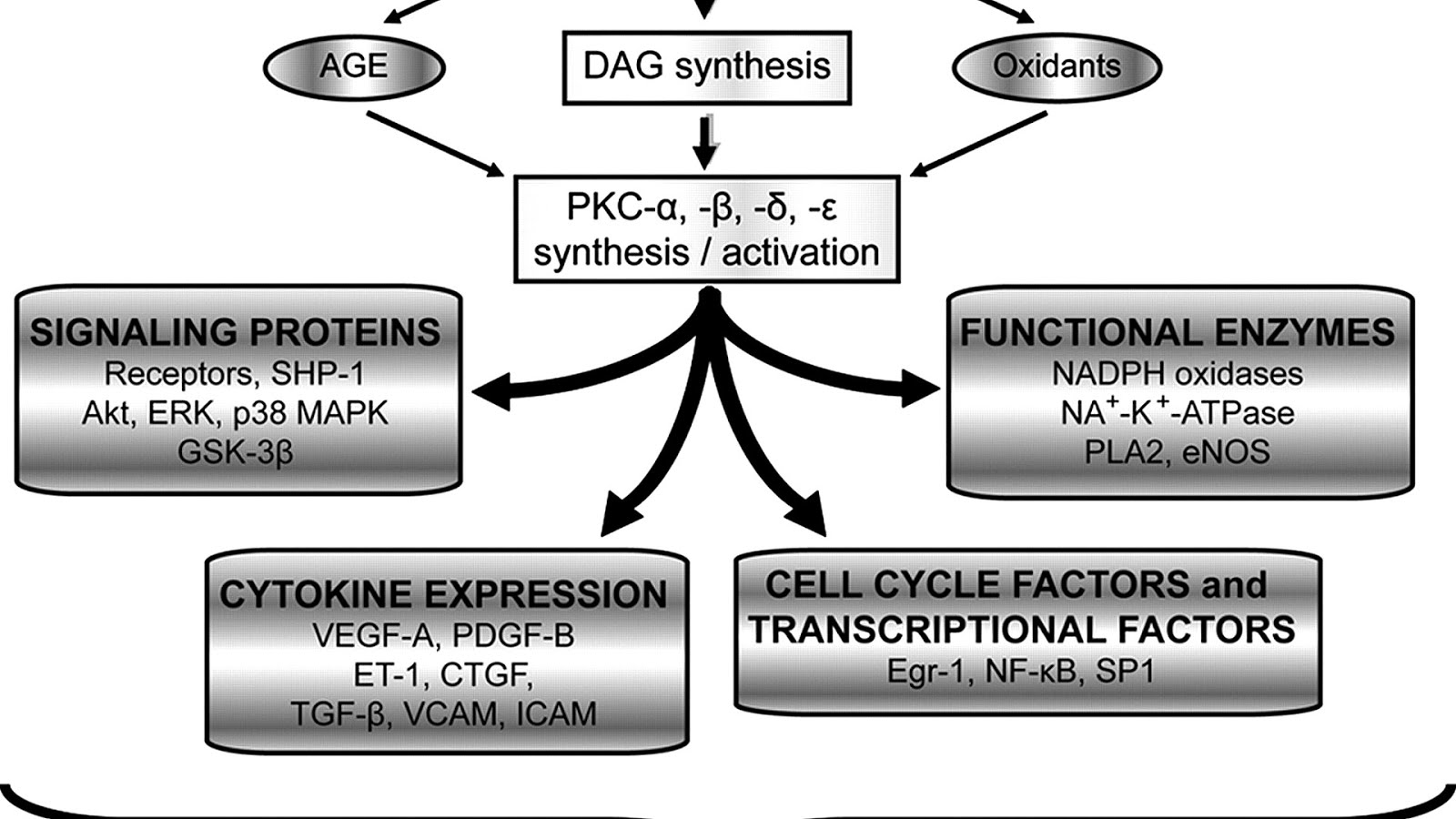 Glycation Diabetes And Protein Protein Choices