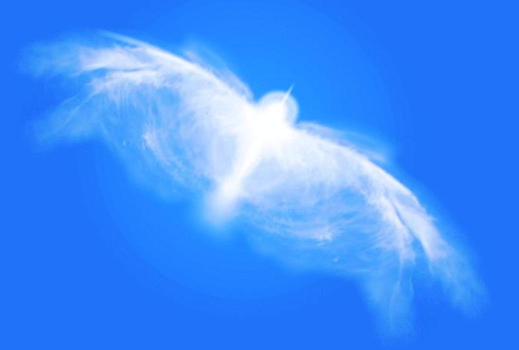 облака крылья. ангелы в чистом небе. летящий ангел. ангел из облаков. сердце из облаков.