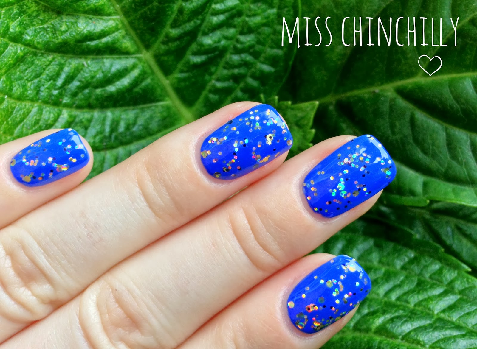 Miss Chinchilly Glitter and be gay...?