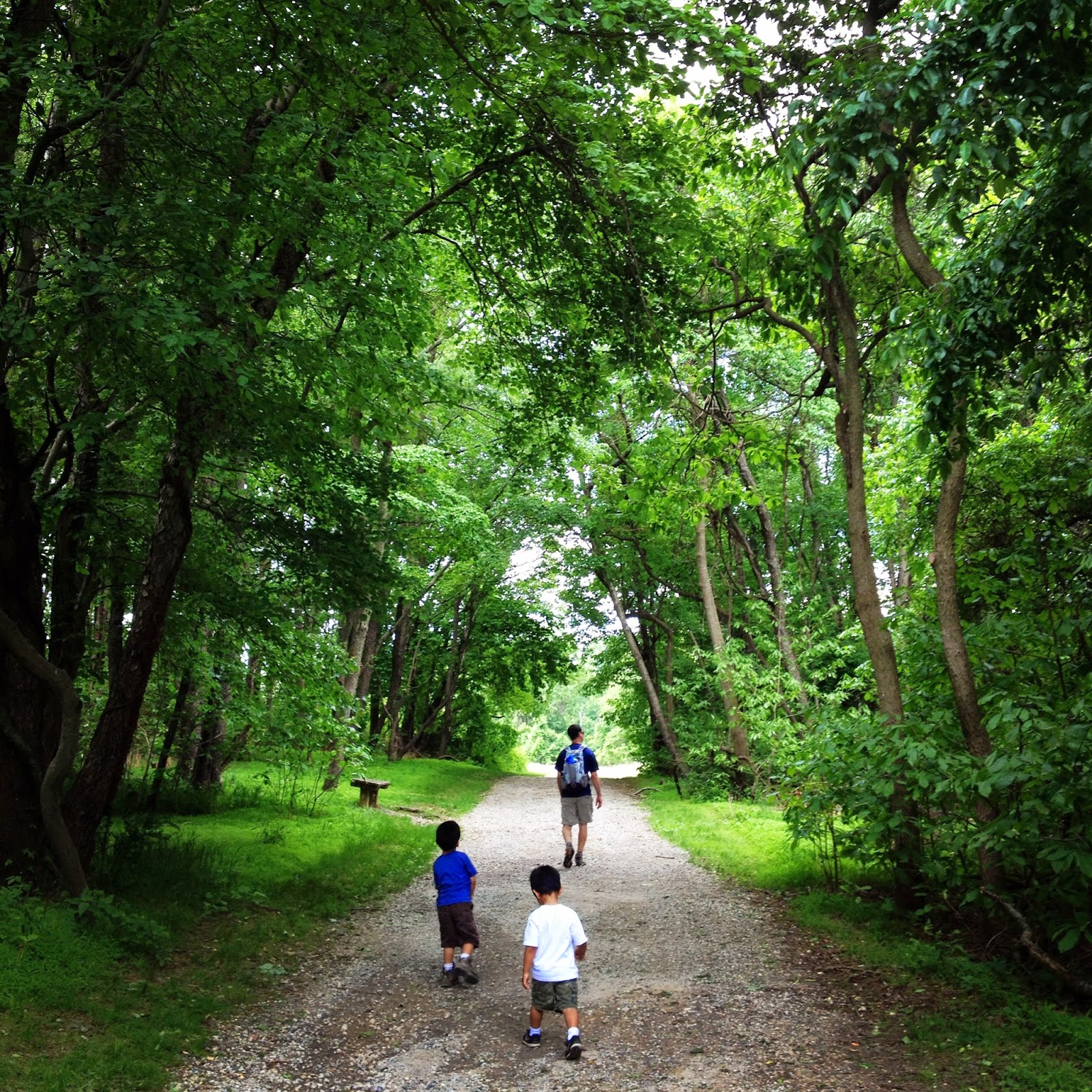 RunHikePlay Turkey Point Lighthouse Trail at Elk Neck State Park