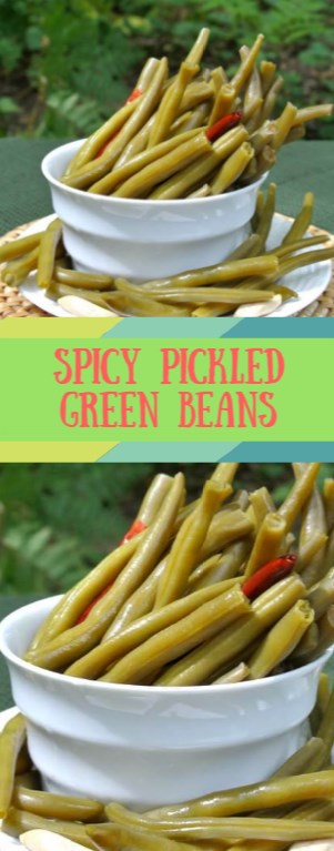 SPICY PICKLED GREEN BEANS | Aurel Kitchen