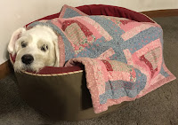 Suki Roth, resing in her bed.