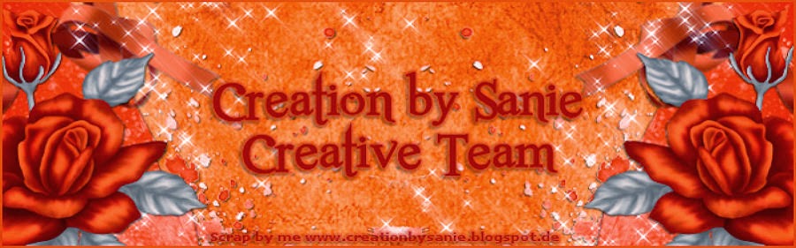 Creation by Sanie CT Team