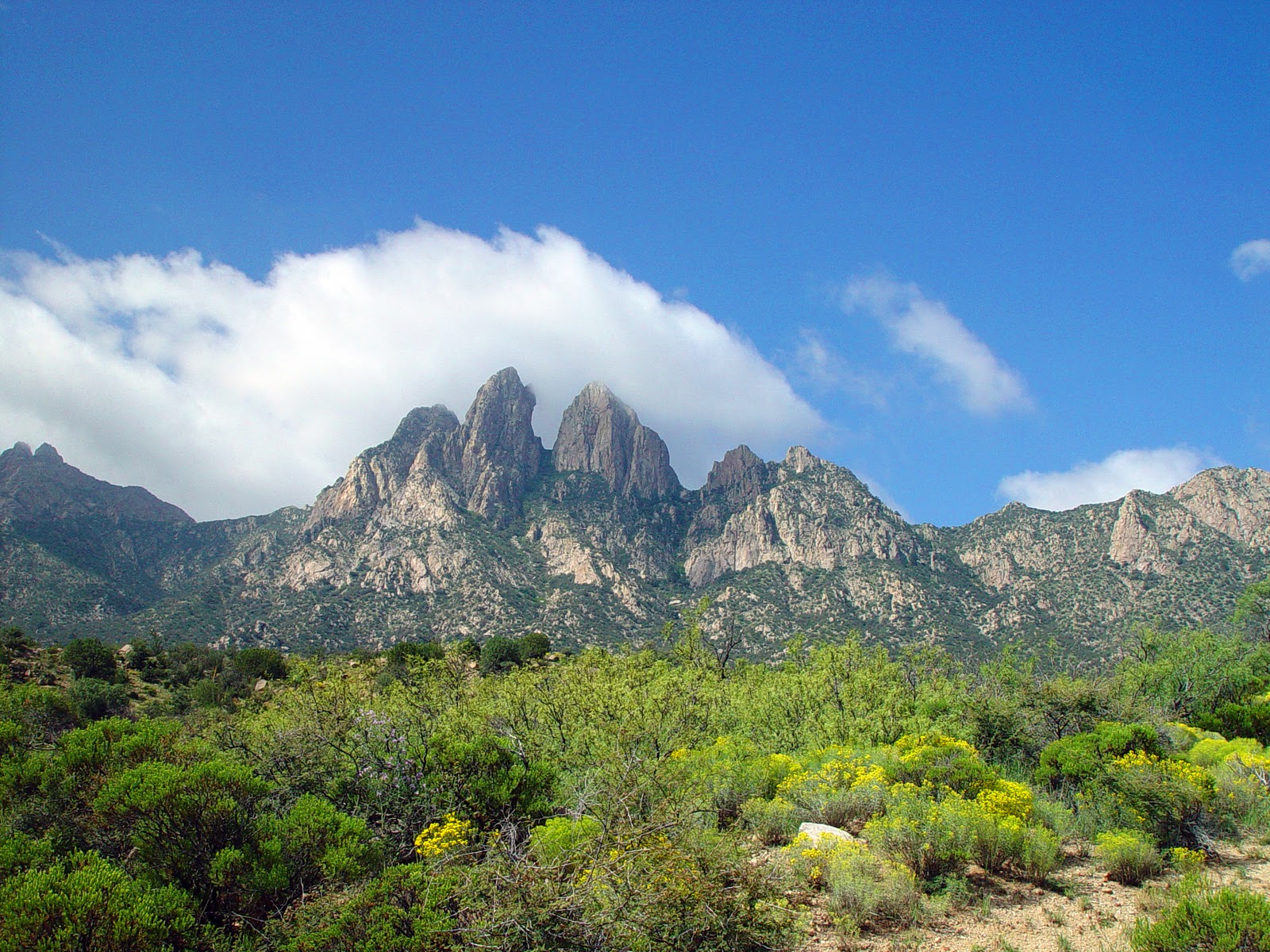 Горы бразилии