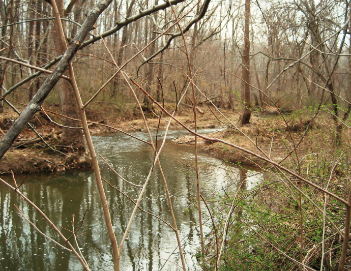 Green Risks Saving What’s Left of the Rural Crescent