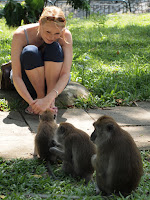 Chatting with monkeys - MacRitchie Park