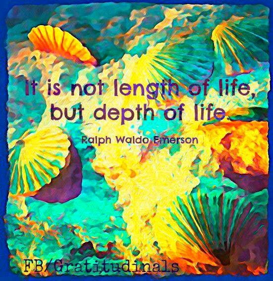 It is not length of life, But depth of life. - Quotes