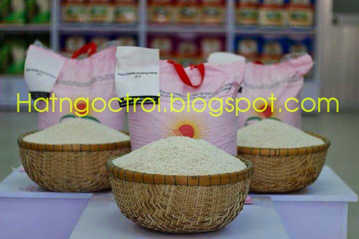 hinh-anh-gao-hat-ngoc-troi-thuong-hang-loai-1 hinh-anh-gao-hat-ngoc-troi-thuong-hang-loai-1
