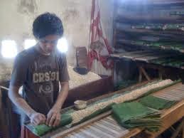 Jual Ragi Tempe ~ Microbio-Lab