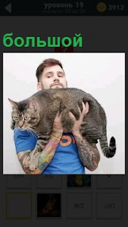 Мужчина держит на руках с татуировками большого серого кота , показывая и хвастаясь перед всеми