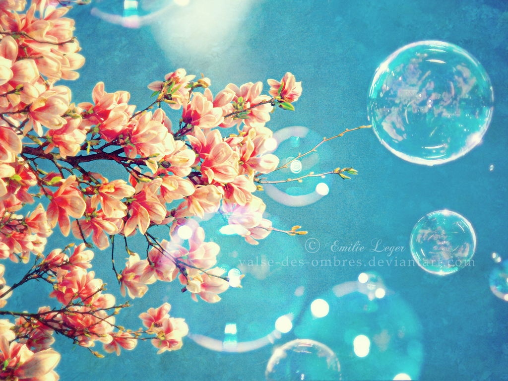 Spring Images Hd Wallpapers