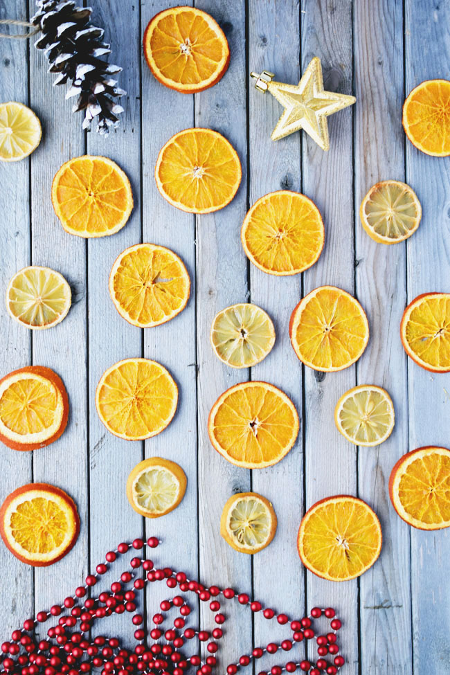 Woman in Real LifeThe Art of the Everyday Dried Orange & Lemon